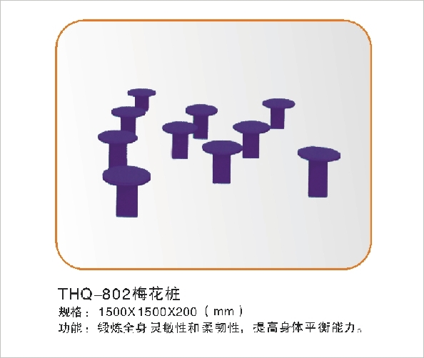 THQ-802梅花桩