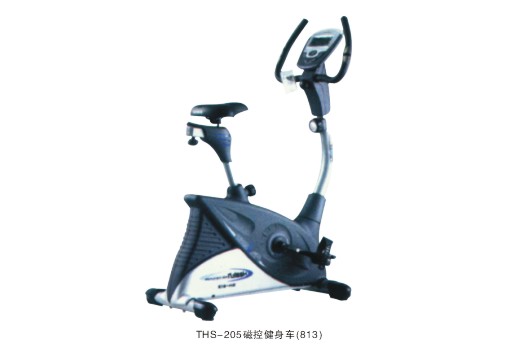 THS-205磁控健身车(813)